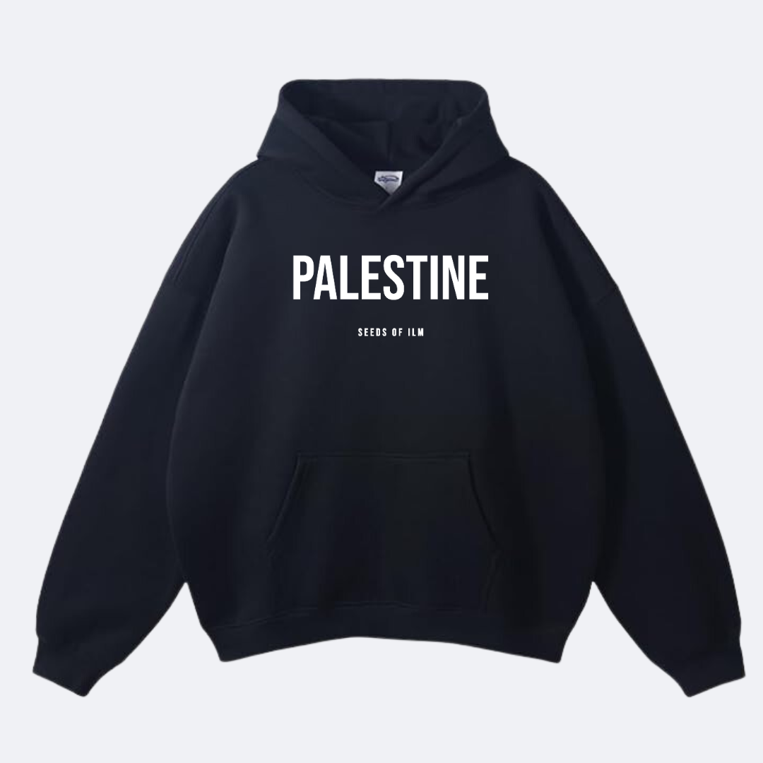 PALESTINE - OVERSIZED HOODIE