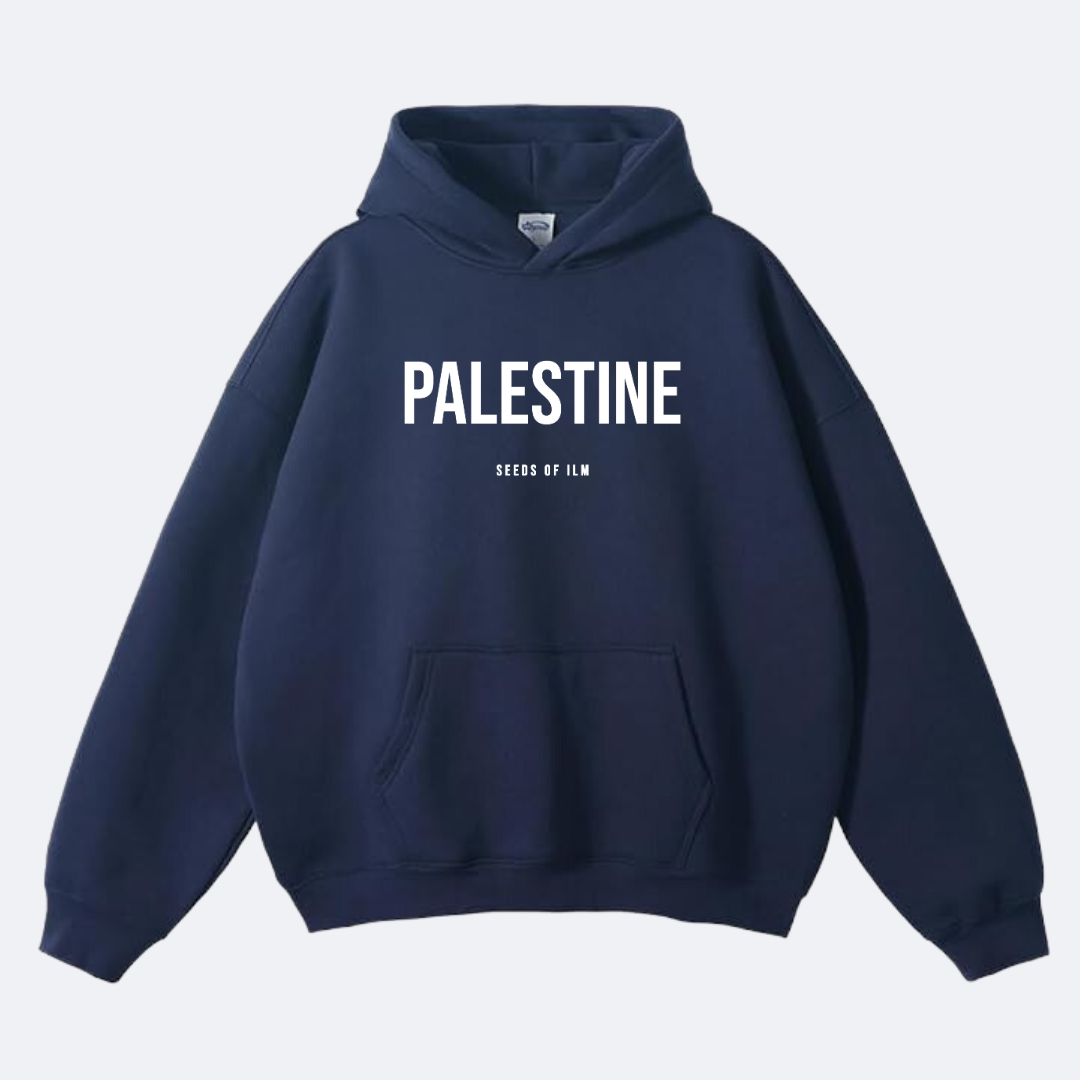 PALESTINE - OVERSIZED HOODIE