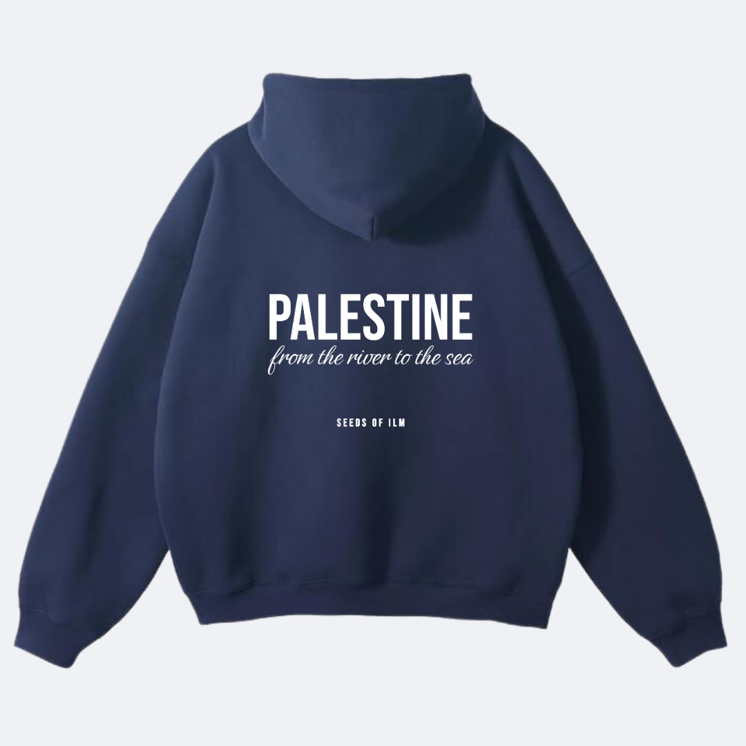 PALESTINE - OVERSIZED HOODIE