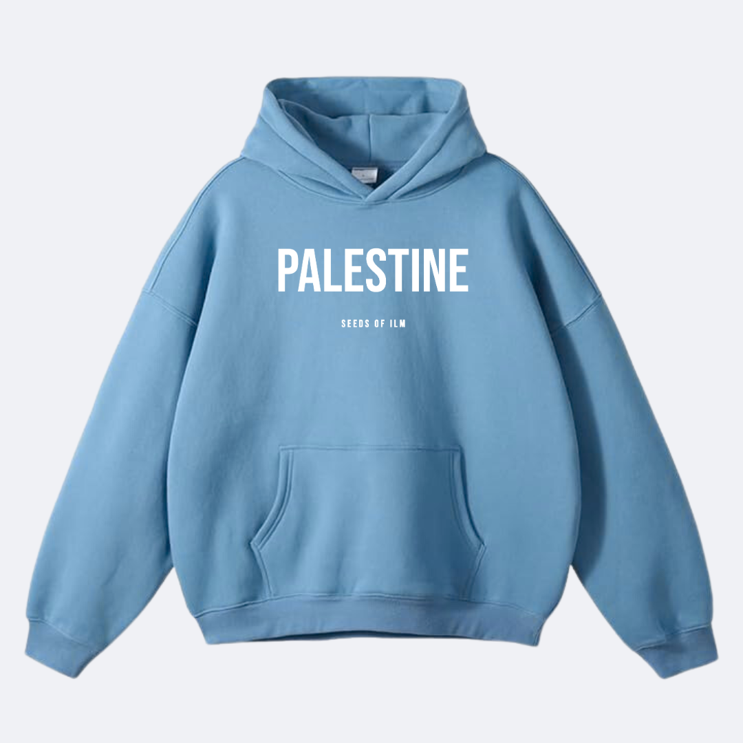 PALESTINE - OVERSIZED HOODIE