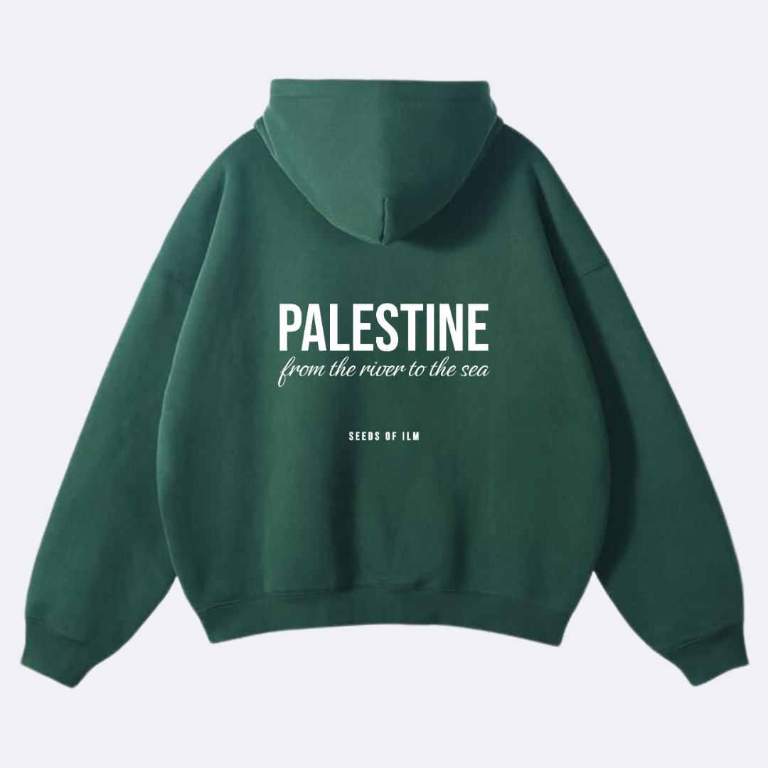 PALESTINE - OVERSIZED HOODIE