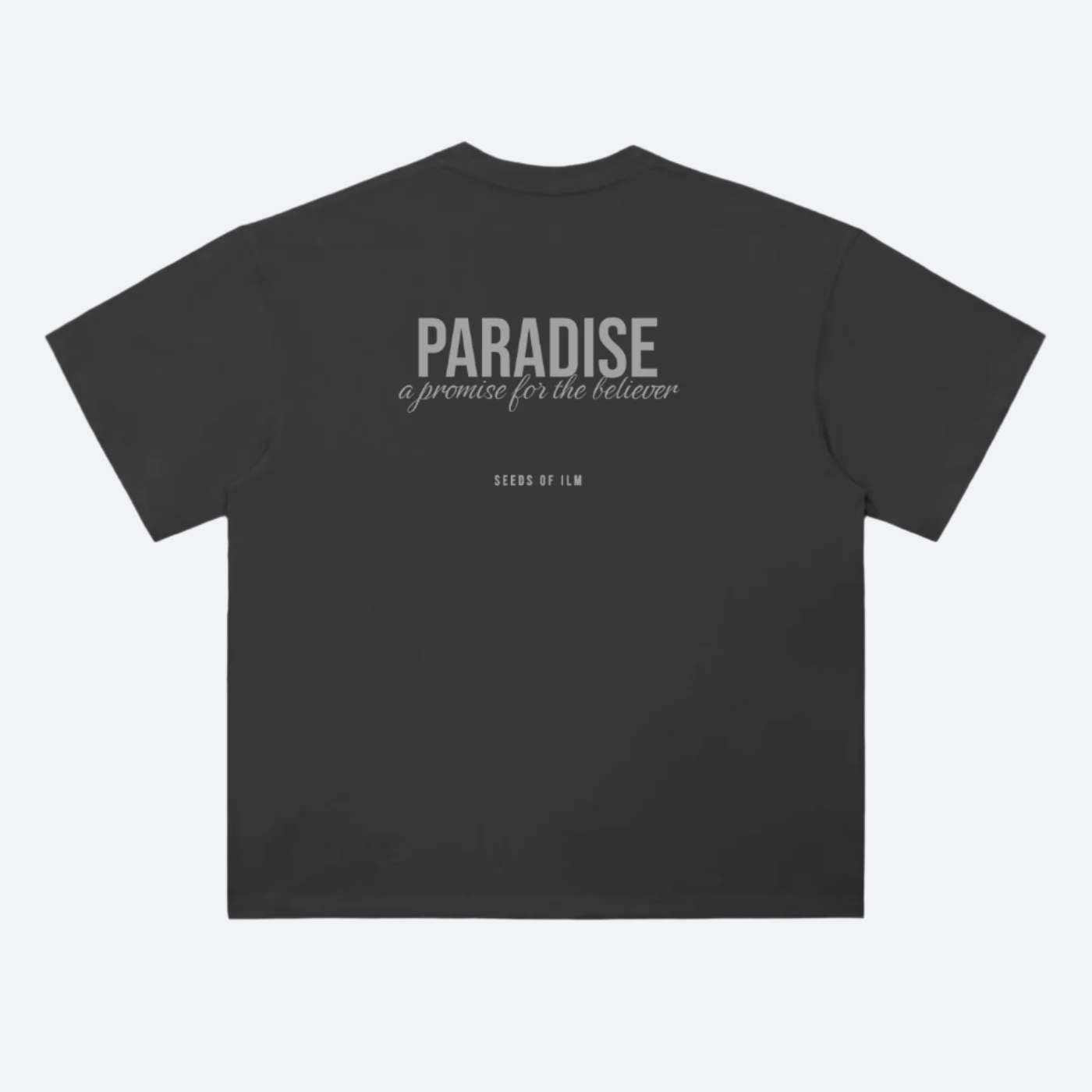 PARADISE OVERSIZED - TEE