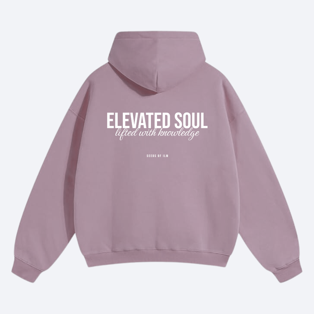 ELEVATED SOUL - OVERSIZED HOODIE – Seeds of ILM