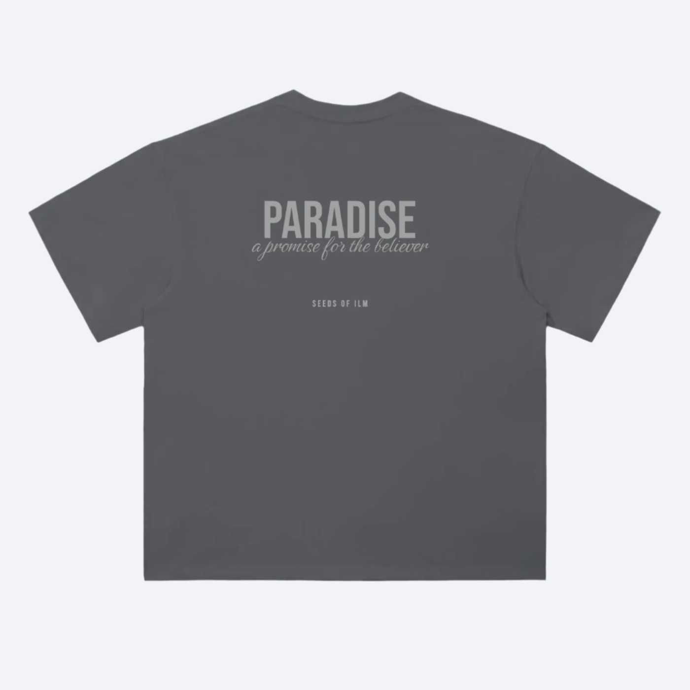 PARADISE OVERSIZED - TEE