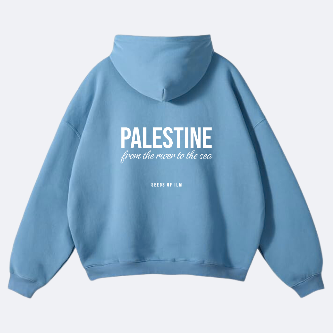 PALESTINE - OVERSIZED HOODIE