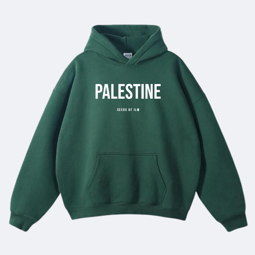 PALESTINE - OVERSIZED HOODIE